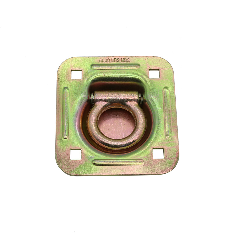Recessed پین ہیوی ڈیوٹی کارگو ڈی رنگ